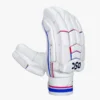 DSC Intense Passion Batting Gloves