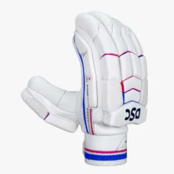 DSC Intense Passion Batting Gloves