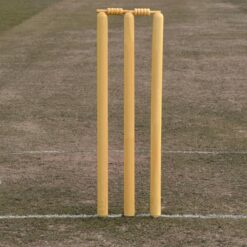 Wooden Cricket Stumps with Bails