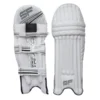 SF Nexzen Cricket Batting Pads