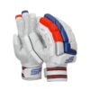 SF Platinum Cricket Batting Gloves