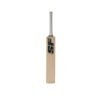 SF Transformation 3.0 Cricket Bat