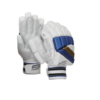 SF Hero Cricket Batting Gloves