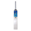 SS DK Players Colt Junior Cricket Bat