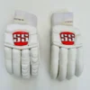SS Test Pro Cricket Batting Gloves
