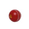 Poly Hard Cricket Ball